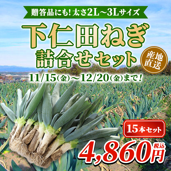 2024年度産｜産地直送「下仁田ネギ4kg (15本)」